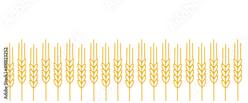 Wheat field. Agriculture cereal harvest. Dry grass. Vector illustration.