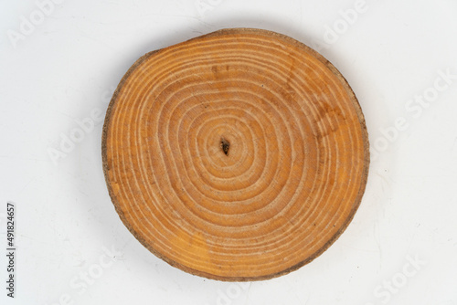 Sliced tree stump with age rings, isolated on white background, wooden stump billet old lines, top view