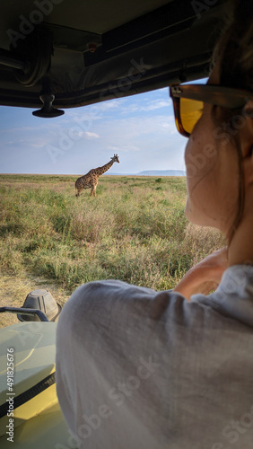Giraffe landscape in a safari