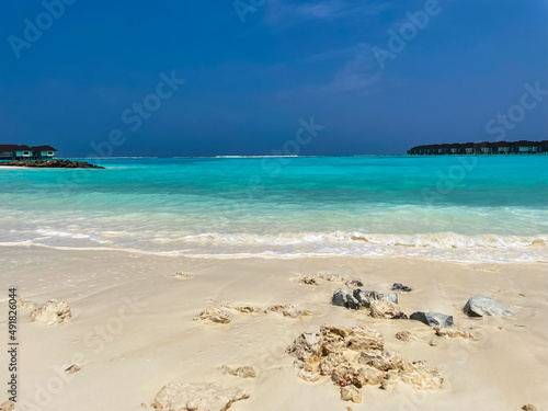 Tropical Maldives sea with coral on blue background  © Antonina