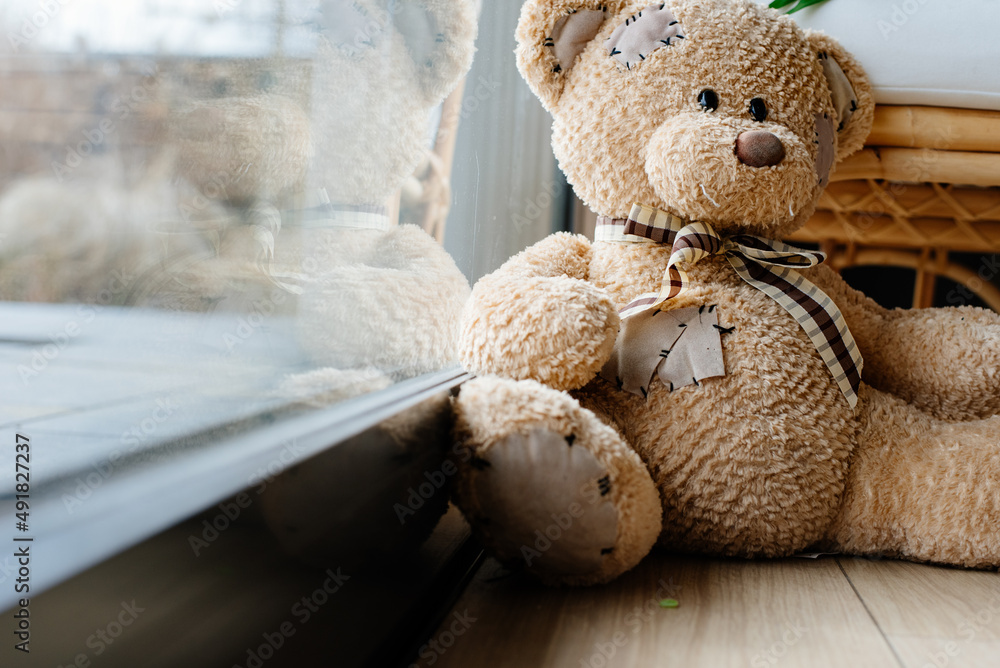 Fototapeta premium Miś pluszowy