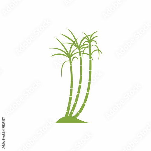 Sugar cane plant logo vector illustration design