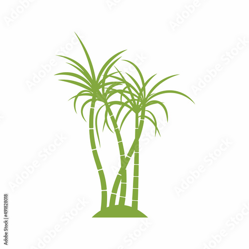 Sugar cane plant logo vector illustration design