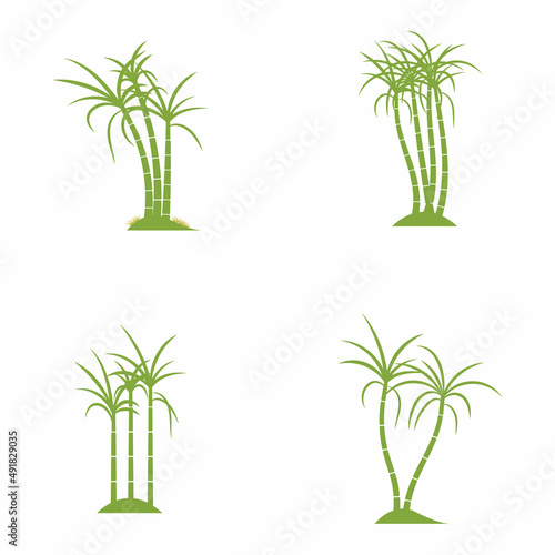 Sugar cane plant logo vector illustration design
