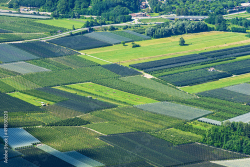 Aerial view of apple orchards with anti-hail netting in summer in Valsugana or Sugana Valley, in the plain between Lake Caldonazzo and Lake Levico, Trento Province, Trentino Alto Adige, Italy, Europe. © Alberto Masnovo