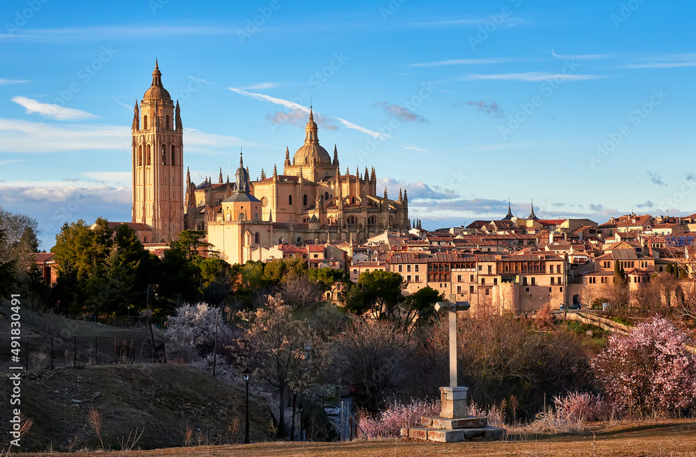 Fototapeta premium Vista panorámica de la Catedral de Segovia, parte de la antigua muralla y su arquitectura historica, durante un atardecer primaveral con almendros en Flor 