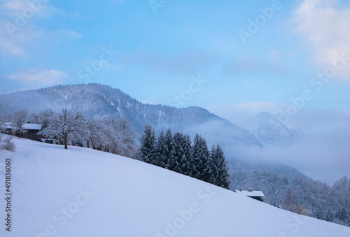 Winter snowy mountain slope, fir trees on the mountain top with beautiful blue sky and clouds. Spectacular winter natural landscape for vacation and hiking trips. Aussee, Austria