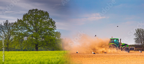 Картината върху платно Climate change concept of drought, global warming