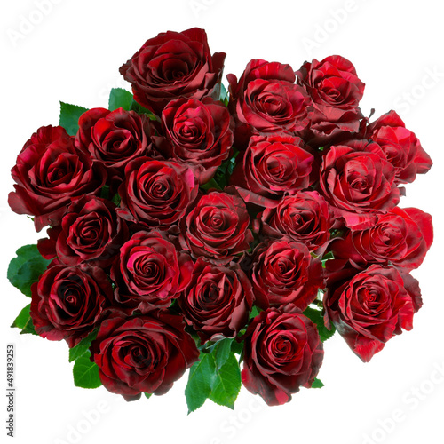 dark red roses bouquet isolated on white background