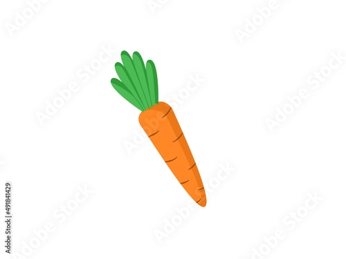 carrot icon illustration isolated on white background. The concept of proper nutrition, healthy vegetables. The press on ware, clothes, textiles.

