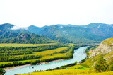 The nature of Altai, the photo shows mountains, meadows, the Katun River, Beryuzovaya Katul.