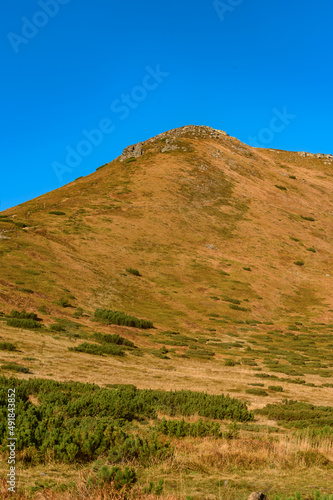 Real mornings in the Carpathians near Lake Nesamovyto, Mount Turkul and the environment.