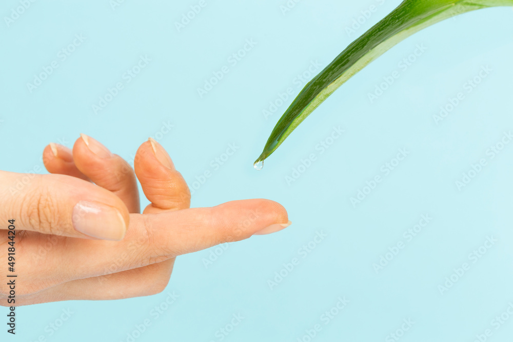woman hand and leaf on turquoise background woman hand and leaf on turquoise background