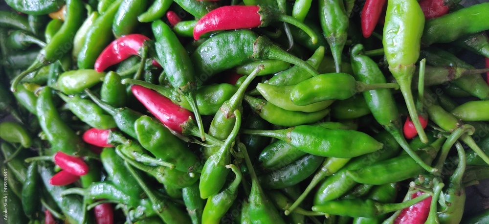Fresh chillies used to make tasty food 