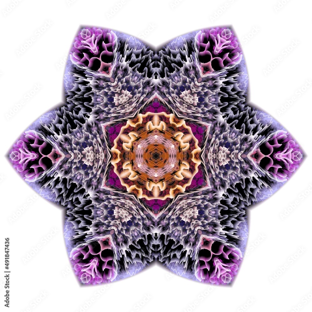 Fototapeta premium mandala drawing digital symmetrical pattern