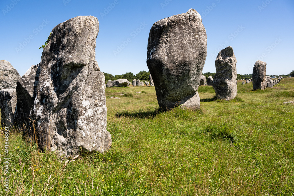 A series of many menhirs near Carnac. Large boulders stand in a row in an open meadow.