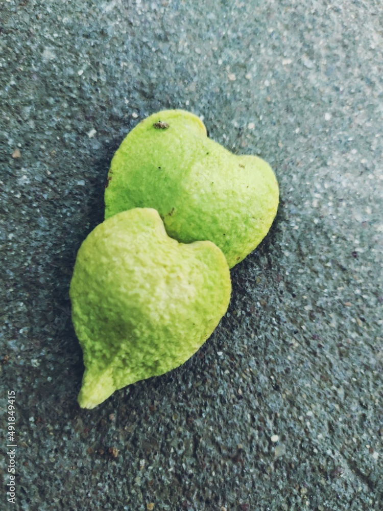 Obraz premium Soursop flower,love green, fruits, health,heart,shape,tree,