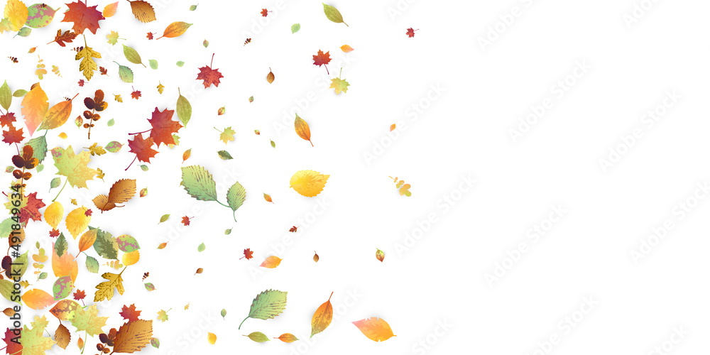 Leaves Falling Autumn Foliage Chaotic Leaf Flying