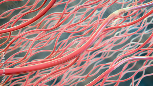 Slika na platnu Collagen triple helix molecules, 3D illustration