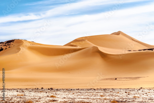 Fototapeta Naklejka Na Ścianę i Meble -  Low angle view of curvy sand dune in Sahara Desert. Colorful surface level, white reg terrain, high wavy golden colored dune, blue cloudy sky.   