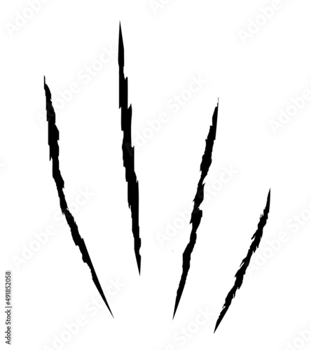 Tiger claw mark in black color. Vector silhouette illustration