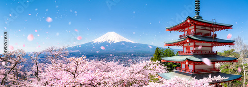 Chureito Pagoda and Mount Fuji with cherry blossom during spring season, Fujiyoshida, Japan photo