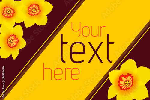 Gelbe Narzissen auf dunklem Hintergrund mit Platz für Text