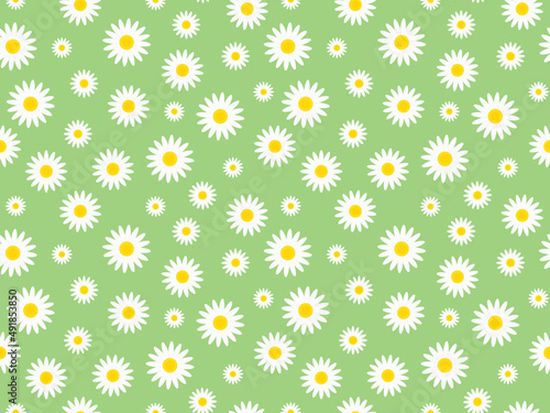 seamless daisy pattern - vector illustration