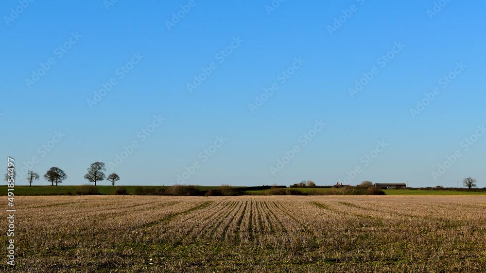 Landscape with a stubble field, Coombe Abbey, Coventry, England, UK