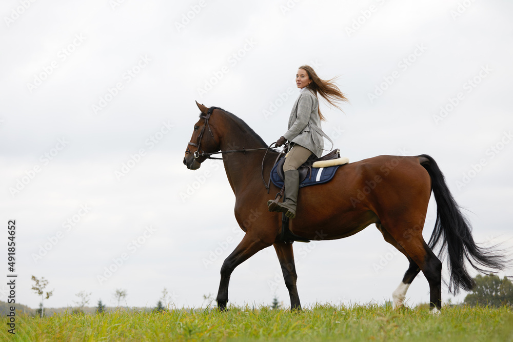 Beautiful young woman riding a horse on the field. Sideways to the camera. Freedom, joy, movement Beautiful young woman riding a horse on the field. Sideways to the camera. Freedom, joy, movement