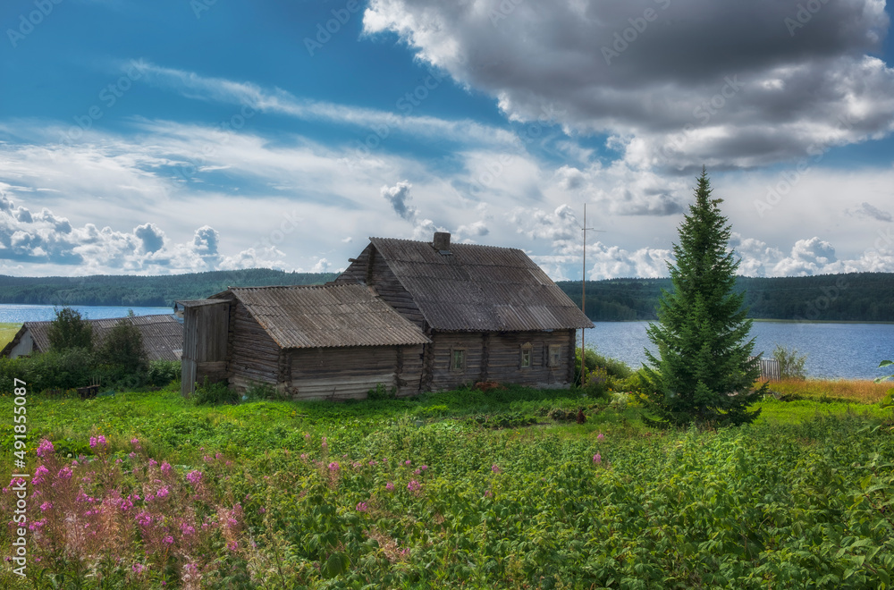 Obraz premium Old wooden log house on the shore of lake in northern summer