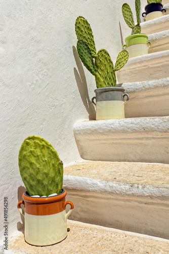 Kakteen auf einer Steintreppe in Locorotondo, Apulien, Italien photo