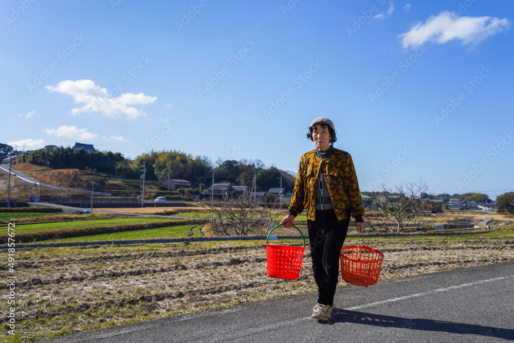 custom made wallpaper toronto digital洗濯をする高齢の女性