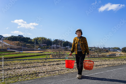 Wallpaper Mural 洗濯をする高齢の女性 Torontodigital.ca