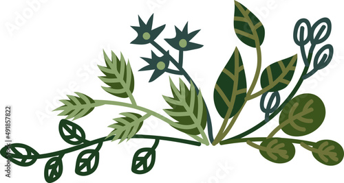 Branch Border Line with Green Leafy Curved Twig as Botany and Foliage Decor