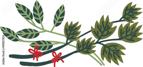 Branch Border Line with Green Leafy Curved Twig as Botany and Foliage Decor