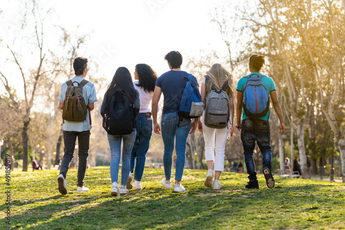 Back view of a row of young multi-ethnic students walking together in the park