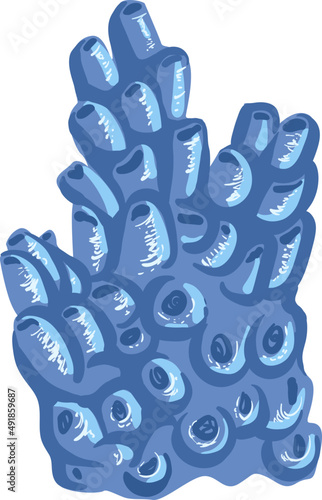 Blue Coral or Anthozoa as Marine Invertebrate from Ocean Bottom and Seabed