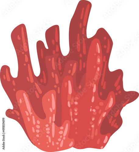 Bright Red Coral or Anthozoa as Marine Invertebrate from Ocean Bottom and Seabed