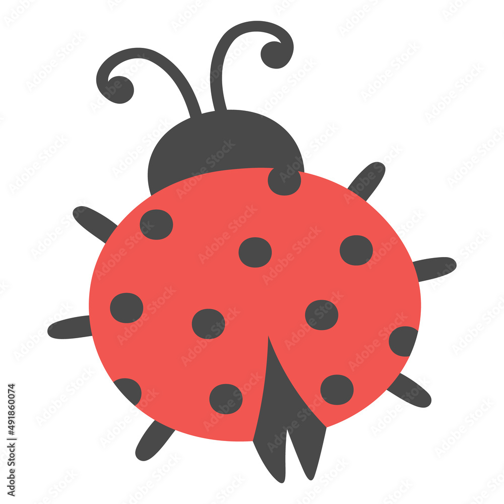 Ladybug