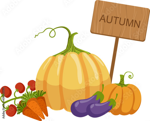 Fotografia Autumn Harvest with Ripe Agricultural Vegetables and Crops Near Pole with Wooden