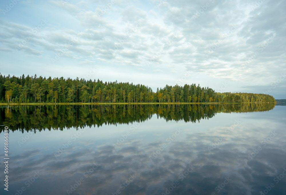 The sky and the forest are reflected on a peaceful lake at dawn on a September morning 