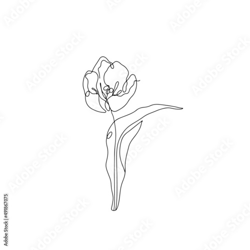 One line drawing tulip. Hand drawn single line flower black color
