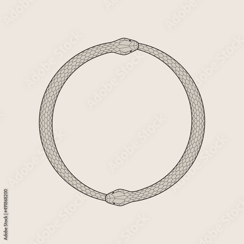 Ouroboros, snake eating its own tale. Two serpents, symbol of infinity. Detailed vector illustration, EPS 10