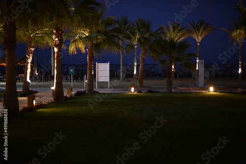 Vacation in Egypt. These are perfect holiday photos.