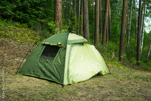 Tent in a pine tree forest © lijphoto