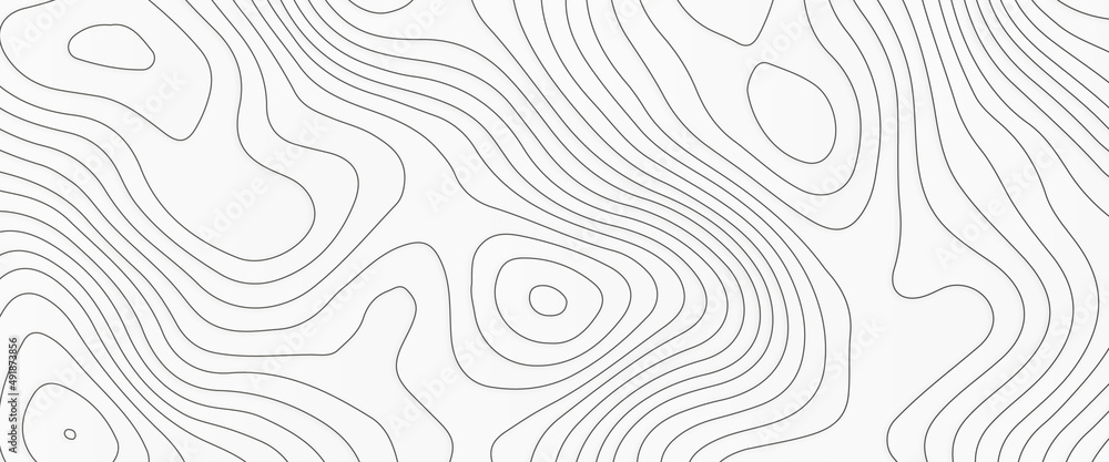 White wave paper curved reliefs abstract background, Abstract topographic contours map on concept of a conditional geography scheme and the terrain path. Dark on black, vector illustration.