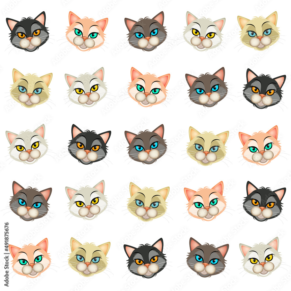 illustration of various faces of kittens on white background