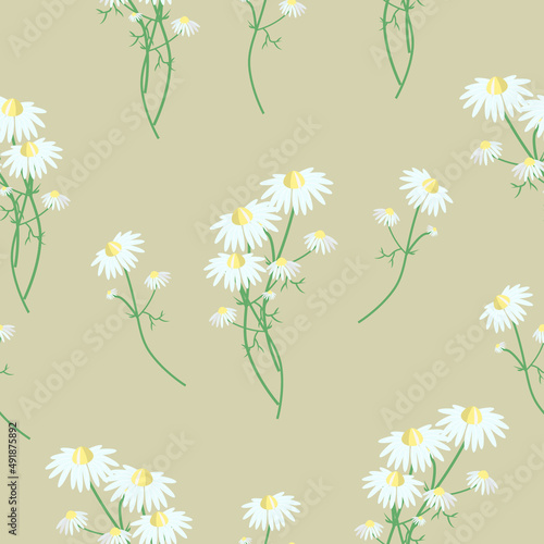 Floral seamless pattern chamomile pharmacy on a beige background.Vector botanical pattern can be used in packaging cosmetics,tea,pharmacy fees,textiles
