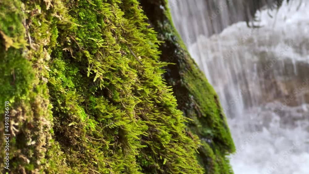 Close-up shot of a waterfall in the middle of a national park
